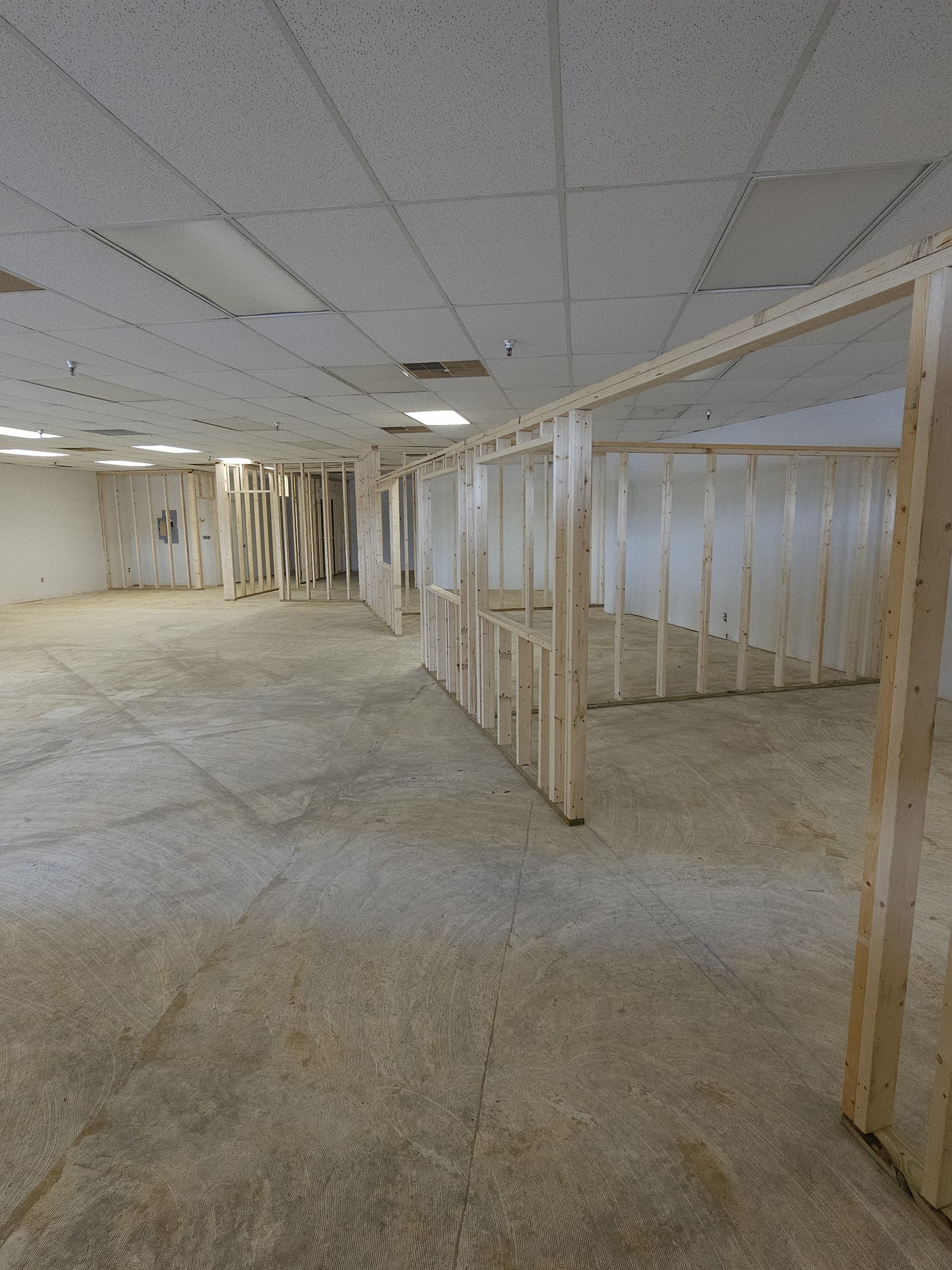 Wood stud framing for Bricks and Minifigs commercial interior buildout by Xemplar Construction